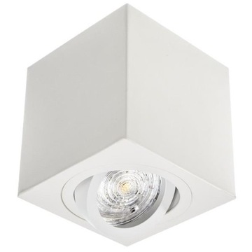 Oprawa sufitowa NATYNK GU10 SPOT EYE LAMPA BIAŁA