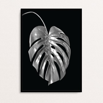 3x Набор ПОСТЕРОВ А2 40Х50 см СЕРЕБРЯНЫЙ ПАЛЬМОВЫЙ ЛИСТ МОНСТРИАЛЬНЫЙ ЛИСТ ЧЕРНЫЙ