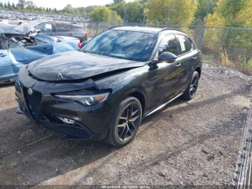 Alfa Romeo Stelvio SUV Facelifting 2.0 Turbo 280KM 2021 Alfa Romeo Stelvio Ti 2021 2.0l 2.0 Benzyna 280KM, zdjęcie 1