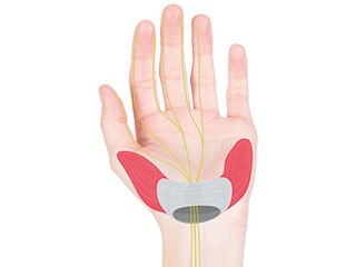 Велосипедные ручки Ergon GS3 L