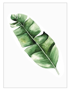 Plakat obraz na ścianę 30x40 BANANOWIEC