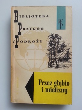 Przez głębie i mielizny , ROBINSON