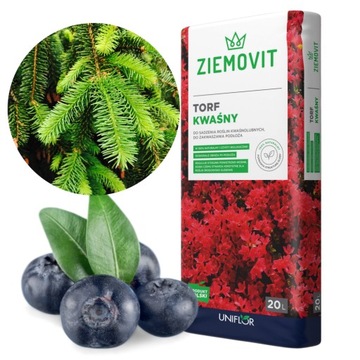 TORF KWAŚNY OGRODNICZY PODŁOŻE ZIEMIA DO BORÓWKI RODODENDRONÓW IGLAKÓW 20L
