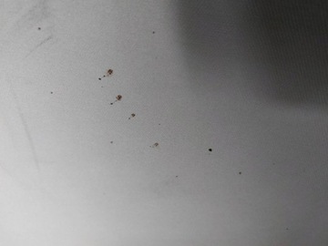 PODSUFITKA PASSAT B6 KOMBI EUROPA