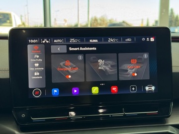 Cupra Formentor 2022 Cupra Formentor 4Drive DSG / Panorama / DCC / CarP, zdjęcie 32