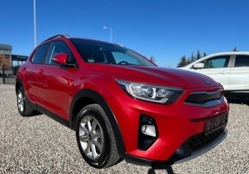 Kia Stonic Crossover 1.2 MPI 85KM 2019