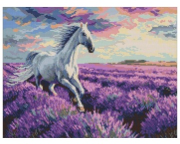 Алмазна мозаїка - На полях лаванди 40x50 см