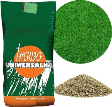 TRAWA UNIWERSALNA GREEN 0,9KG ZAGĘSZCZA RENOWACJA