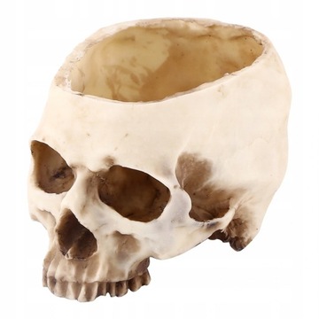 Osłonka Żywica Czaszka Doniczka Skull