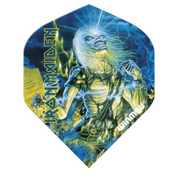 Piórka WINMAU Rock Legends do Lotek Rzutek Dart