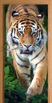 FOTOTAPETA NA DRZWI NAKLEJKA SAMOPRZYLEPNA TYGRYS