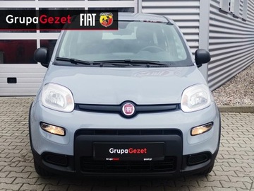 Fiat Panda III Hatchback 5d seria 4 1.2 LPG 69KM 2023 Fiat Panda Seria 6-1.2 69 KM LPG, zdjęcie 2