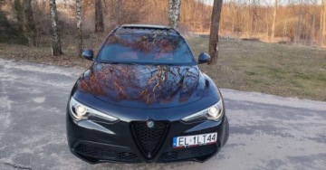 Alfa Romeo Stelvio SUV Facelifting 2.0 Turbo 280KM 2020 Alfa Romeo Stelvio Alfa Romeo Stelvio 2.0 Turbo Veloce Q4 2.0 Benzyna 280KM, zdjęcie 4