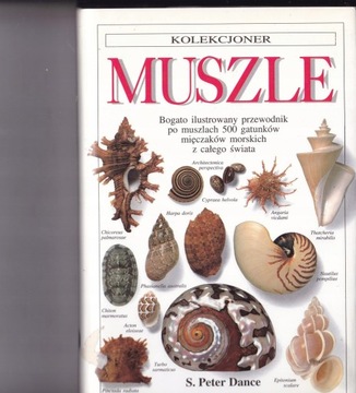 MUSZLE - S. Peter Dance