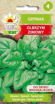SZPINAK OLBRZYM ZIMOWY nasiona
