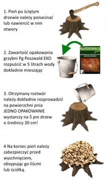 ЭКО мицелий для разложения стволов деревьев в Пошвальде 0,6