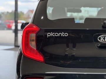 Kia Picanto III Hatchback 5d 1.2 DOHC 84KM 2019 Kia Picanto GT Line Kamera cofania 1 wlasciciel FV 23 gwarancja dosta, zdjęcie 35