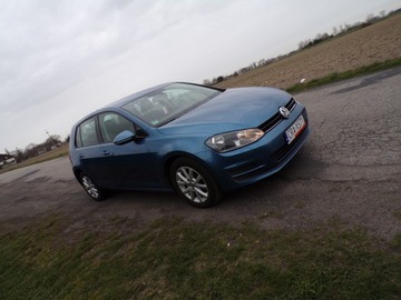 Volkswagen Golf VII Hatchback 3d 1.6 TDI-CR DPF 105KM 2013 VOLKSWAGEN GOLF VII 1.6 TDI Z NIEMIEC ZAREJESTROWANY, zdjęcie 2