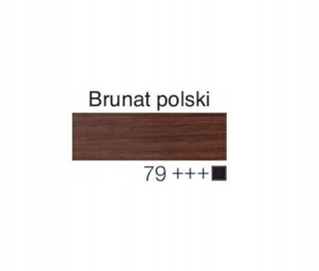 Farba olejna 60ml, brunat Polski, Renesans, NR 79
