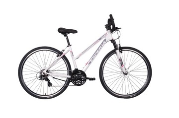 TANI rower trekkingowy ESPERIA MOTION 5300 28 cali