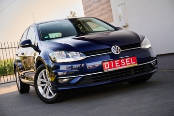 Volkswagen Golf VII Hatchback 3d Facelifting 1.6 TDI-CR DPF BMT 115KM 2019 VW GOLF VII 1.6 diesel 115KM Navi DVD led Alu16 zarejestrowany w Polsce, zdjęcie 5