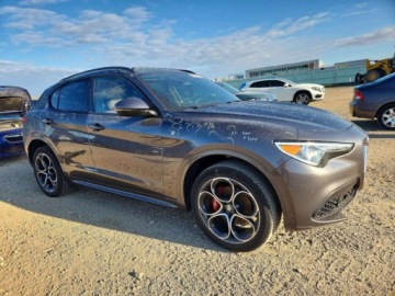 Alfa Romeo Stelvio SUV Facelifting 2.0 Turbo 280KM 2022 Alfa Romeo Stelvio TI 2022 2.0 Benzyna 280KM, zdjęcie 4