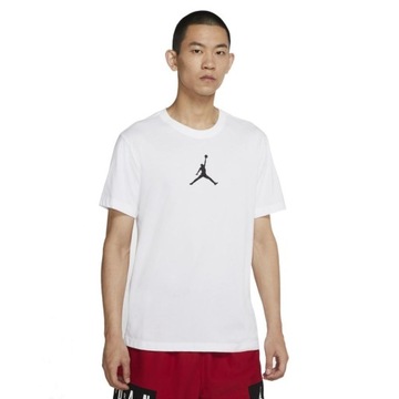 Koszulka męska T-shirt Nike Air Jordan Logo Jumpman Biała (CW5190-102) L