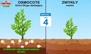 Осмокот 2IN1 субстральный 1,25 кг удобрения для длительного и эффективного сада