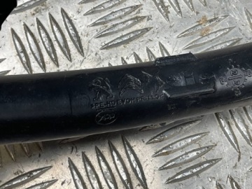 Citroen DS7 Crossback 2020 Топливозаливная трубка