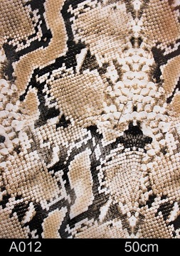 Старт набора гидрографической фольги ANIMALS COLOR