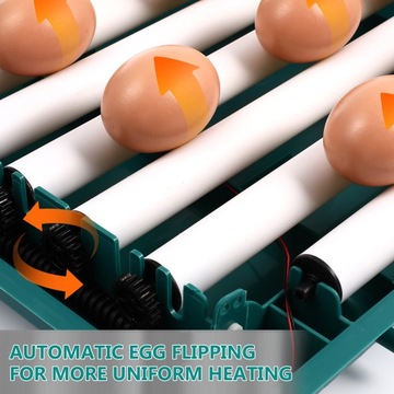 PROFESJONALNY WYKUJNIK Z OBROTOWYM AUTOMATYCZNYM INKUBATOREM JAJ SMART EGG 30 SZT.