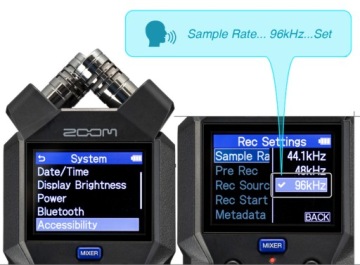 Zoom H4e H4essential 4-дорожечный 32-битный ЦИФРОВОЙ USB-аудиорекордер