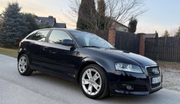 Audi A3 8P Hatchback 3d 1.6 TDI 105KM 2010 Audi A3 3-drzwiowe Audi A3 3-drzwiowe 1.6 TDI DPF Ambition 1.6 Diesel 105KM, zdjęcie 4