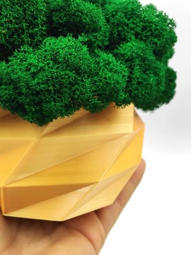 Вазон с мхом хроботек, 18 см, мох хроботек в золотом горшке, 3D печать