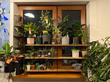 LOFT подвесная полка навесная полка, большая, 120 см