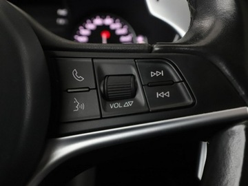 Alfa Romeo Stelvio SUV 2.0 Turbo 280KM 2017 Alfa Romeo Stelvio 2.0 Turbo Edition Automat, zdjęcie 30