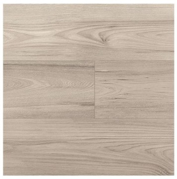 PANELE PODŁOGOWE LAMINOWANE WIĄZ ARMANTA AC4 8 MM