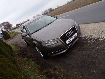 Audi A3 8P Hatchback 3d 1.6 TDI 105KM 2011 AUDI A3 1.6 TDI Z NIEMIEC ZAMIANA, zdjęcie 1