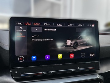 Cupra Formentor Crossover 2.0 TSI 310KM 2022 Cupra Formentor 2.0TSI 310KM 4Drive VZ DSG l Beats, zdjęcie 28