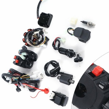 Полный жгут проводов ATV QUAD 150-250 300CC