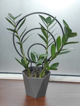 ПОДДЕРЖКА ДЛЯ РАСТЕНИЙ ЦВЕТОВ ПЕРГОЛА НА КОЛЕСАХ ОБОД 36см