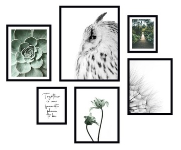 6x OBRAZ W RAMIE PLAKATY RAMKA BOHO SOWA NATURA