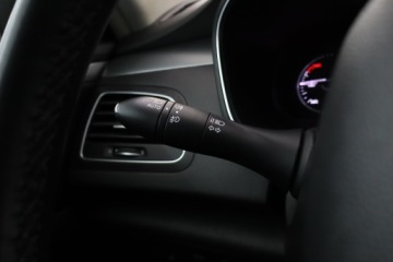 Renault Talisman Sedan 1.6 Energy dCi 160KM 2017 Renault Talisman 1.6 dCi, Salon Polska, zdjęcie 19