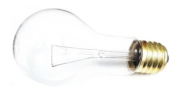 ŻARÓWKA GŁÓWNEGO SZEREGU POLAMP 300W E40 240V