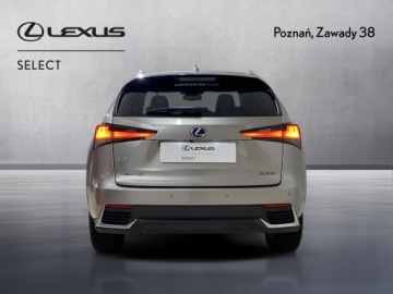 Lexus NX I SUV Facelifting 300h 197KM 2021 Lexus NX 300h F Impression AWD I (2014-2021) 300h, zdjęcie 8