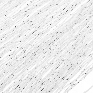 Штора от насекомых с бусинами Line2 шт.