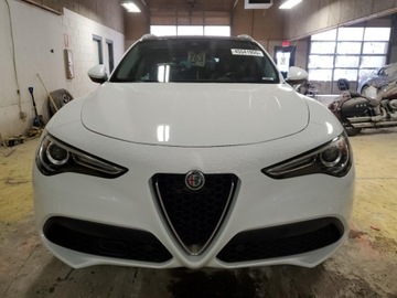 Alfa Romeo Stelvio SUV Facelifting 2.0 Turbo 280KM 2021 Alfa Romeo Stelvio TI 2021 2.0l 2.0 Benzyna 280KM, zdjęcie 5