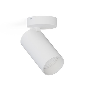 Nowodvorski lampa sufitowa plafon tuba spot MONO I