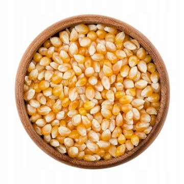 POPCORN ZIARNO 1KG KUKURYDZA DO PRAŻENIA 1KG