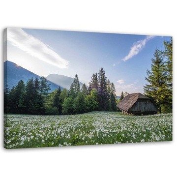 OBRAZ NA PŁÓTNIE Krajobraz Górski Domek 120x80